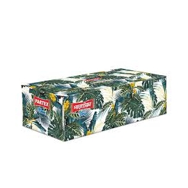 Partex Cleen Facial Tissue 2 Ply, 240 sheets (120×2) pack, soft and absorbent disposable facial tissues designed for everyday hygiene use such as wiping face, hands, and light cleaning.